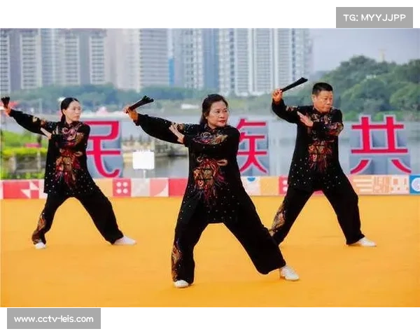 云南瑞丽少数民族传统体育邀请赛促进各民族交往交流交融