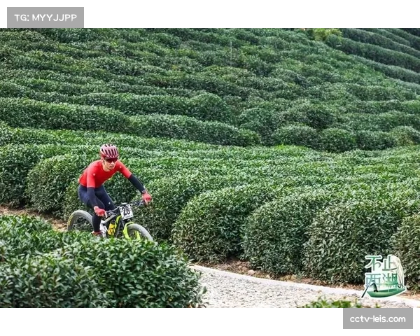 西湖龙坞茶镇山地车越野挑战赛4月12日开赛，何家村赛道吸引全年龄段选手